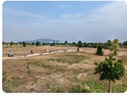 Site View
