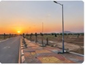 Plot View