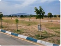 Site Landscape